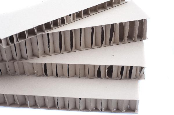 Structural cardboard panels of different thicknesses showing the cut edge and the structure of the interior corrugated or honeycomb core