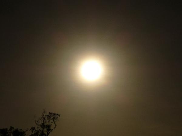 Corona surrounding the sun Corona surrounding the sun viewed through a haze as a luminous ring around the circumference