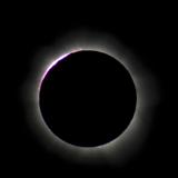 Prominences ejecting from the suns surface can be seen along the edge of the moons shadow during a total solar eclipse