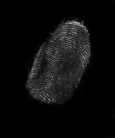 Finger print on a black background Clear finger print on a black background with ridge and whorl detail used in identification of a person for security or in solving a crime