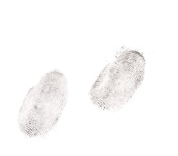 Two fingerprints on a white background Two clear human fingerprints on a white background used to identify a person through the unique pattern of ridges and whorls for security or in a crime