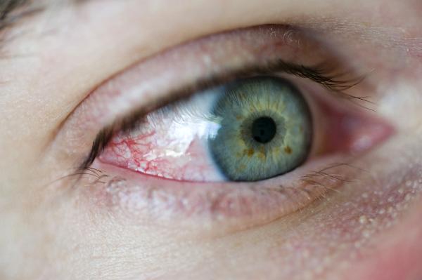 Close up detail of the human eye Close up detail of the human eye showing a network of tiny blood vessels in the corner and a green iris, looking away from the camera