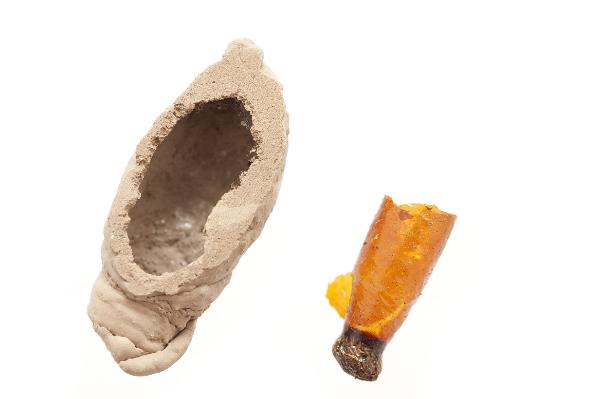 Mud dauber nest and cacoon Mud dauber nest and cacoon made by a wasp that builds its nest in a series of cells made out of mud, isolated on white