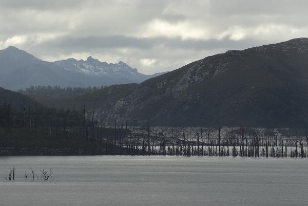 lake gordon reservoir bleak landscape in lake gordon, created by the damming of the gordon river by the gordon dam hydro electric project